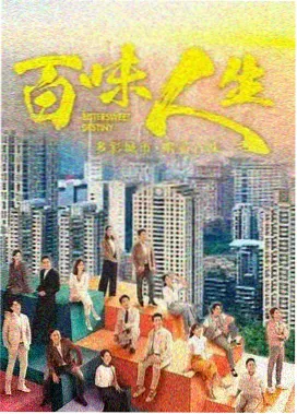 雾港迷案 最新剧集在线看海报